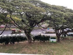 Blk 33 Marine Crescent Ville (Marine Parade), HDB 3 Rooms #628352471